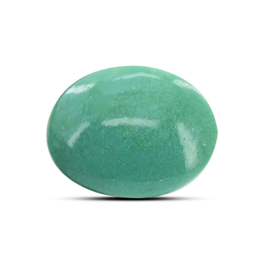 Arizona Turquoise (Firoza) 8.96 Carat