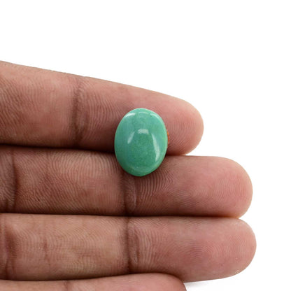 Arizona Turquoise (Firoza) 8.96 Carat