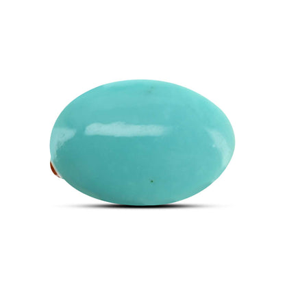 Arizona Turquoise (Firoza) 14.59 Carat