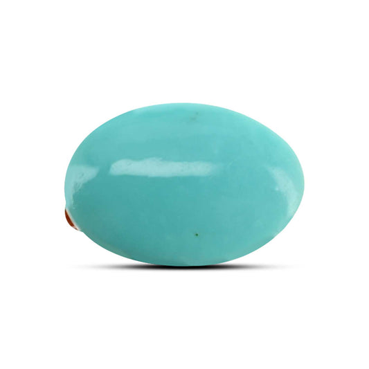Arizona Turquoise (Firoza) 14.59 Carat
