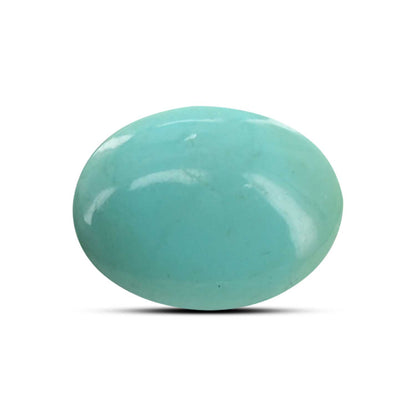 Arizona Turquoise (Firoza) 8.77 Carat