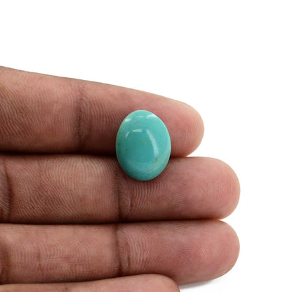 Arizona Turquoise (Firoza) 9.85 Carat