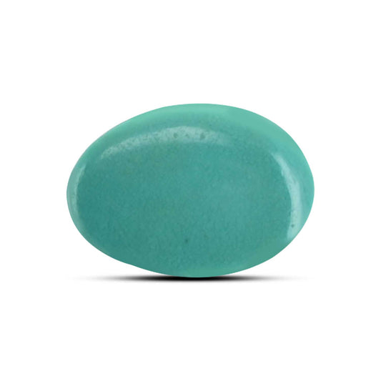 Arizona Turquoise (Firoza) 7.98 Carat