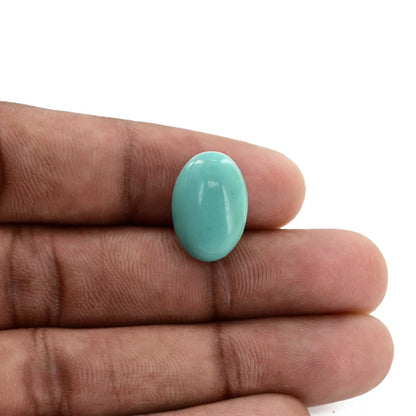 Arizona Turquoise (Firoza) 9.52 Carat