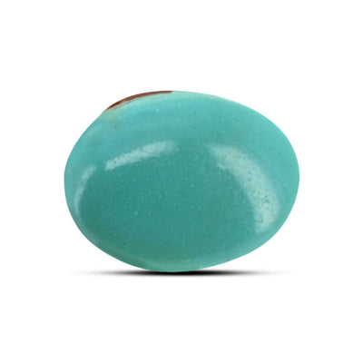 Arizona Turquoise (Firoza) 6.08 Carat