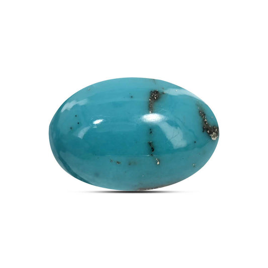 Irani Turquoise (Firoza) 14.24 Carat