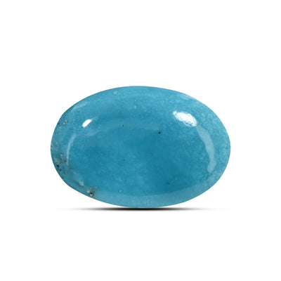 Irani Turquoise (Firoza) 8.29 Carat