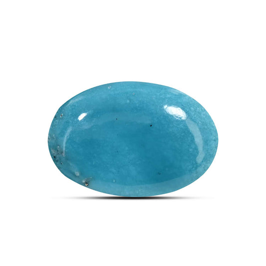 Irani Turquoise (Firoza) 8.29 Carat