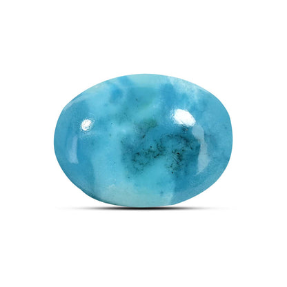 Irani Turquoise (Firoza) 9.28 Carat