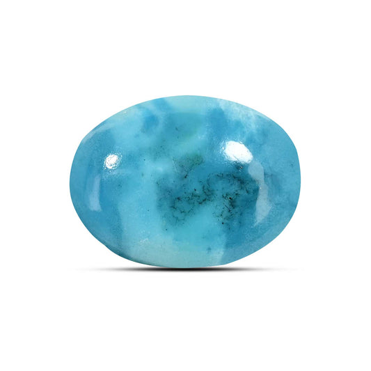 Irani Turquoise (Firoza) 9.28 Carat