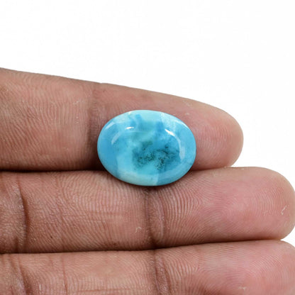 Irani Turquoise (Firoza) 9.28 Carat