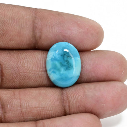 Irani Turquoise (Firoza) 9.28 Carat