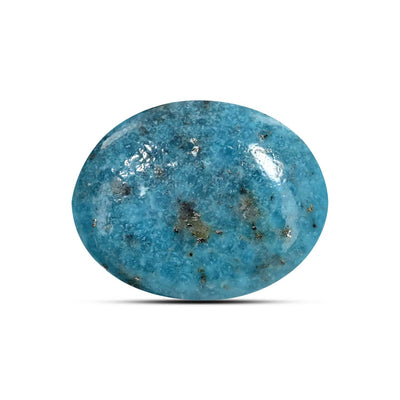 Irani Turquoise (Firoza) 8.19 Carat