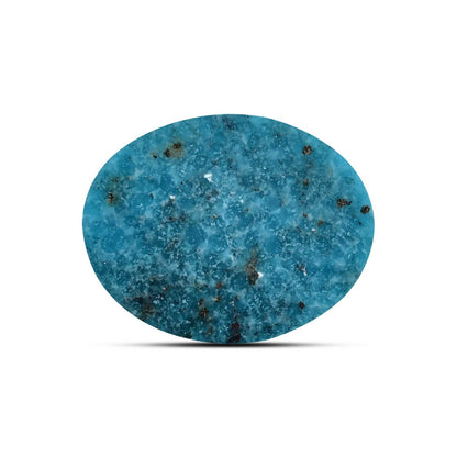 Irani Turquoise (Firoza) 8.19 Carat