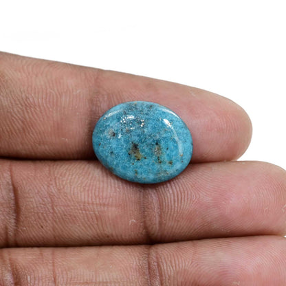 Irani Turquoise (Firoza) 8.19 Carat