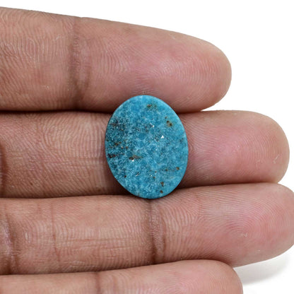 Irani Turquoise (Firoza) 8.19 Carat