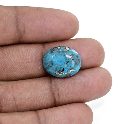 Irani Turquoise (Firoza) 9.74 Carat