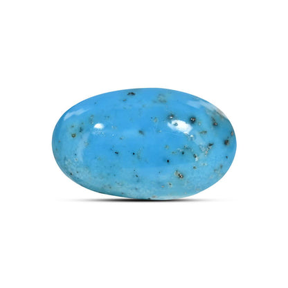 Irani Turquoise (Firoza) 8.56 Carat