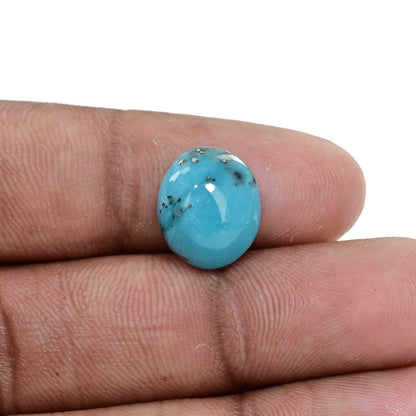 Irani Turquoise (Firoza) 6.48 Carat