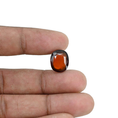 Hessonite (Gomed) - 8.46 Carat