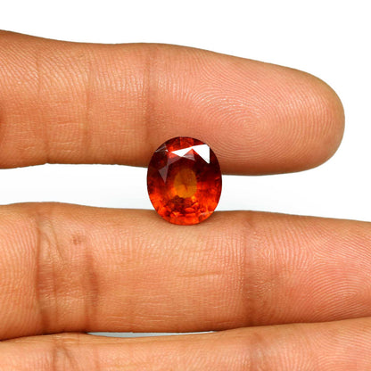 Hessonite (Gomed) - 7.39 Carat