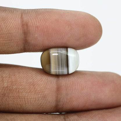Sulemani Hakik (Agate) 11.41 Carat