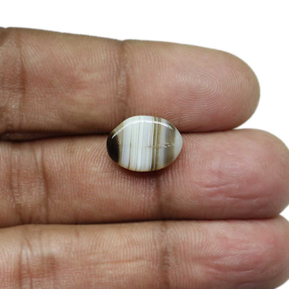Sulemani Hakik (Agate) 7.86 Carat