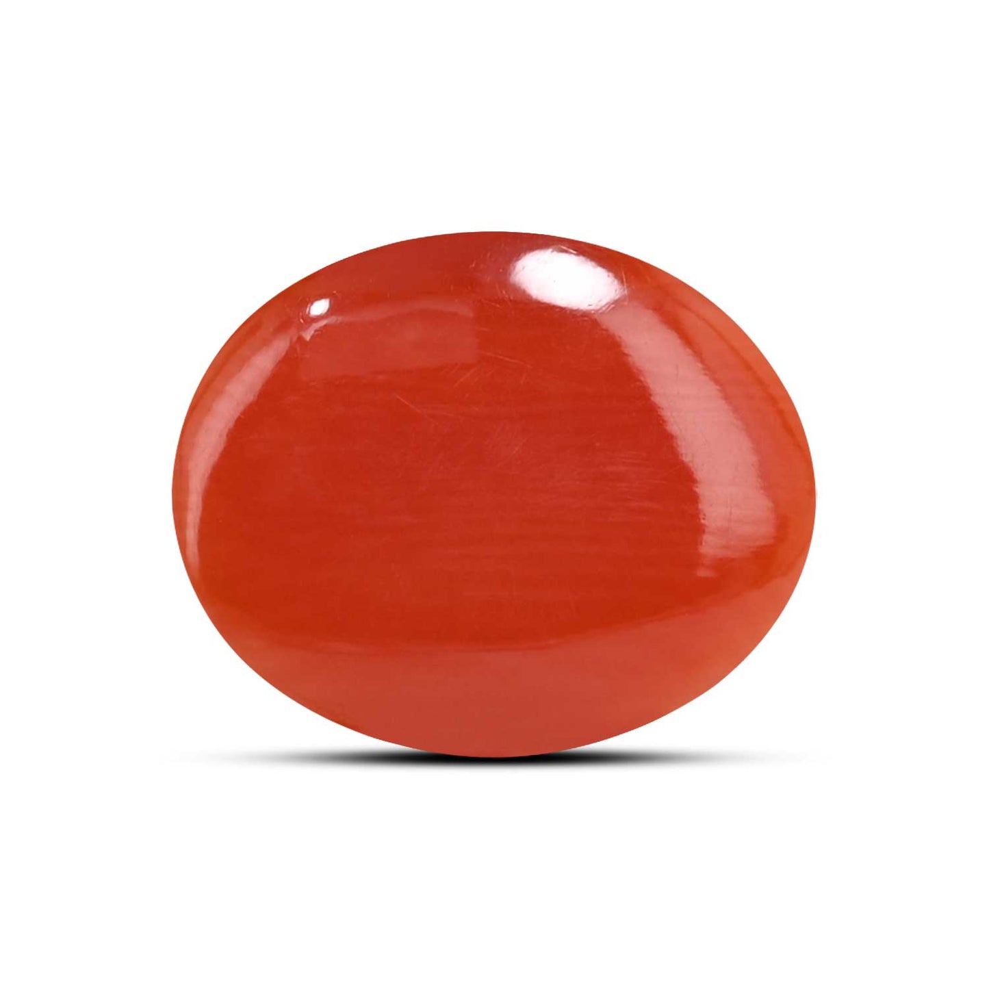 Japanese Red Coral (Moonga) 5.58 Carat