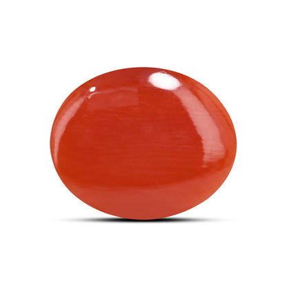 Japanese Red Coral (Moonga) 5.58 Carat