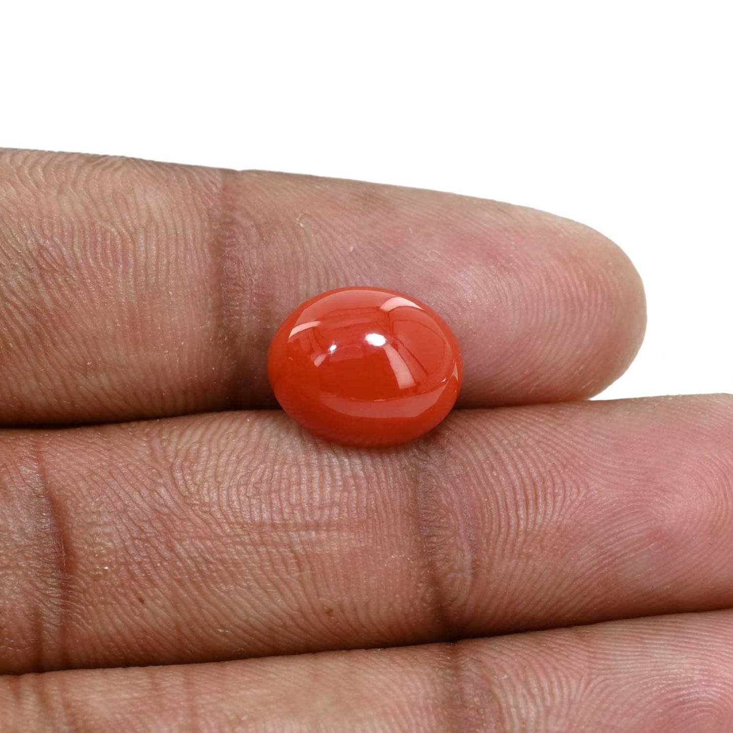 Japanese Red Coral (Moonga) 5.58 Carat