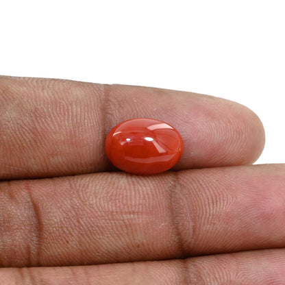 Japanese Red Coral (Moonga) 4.76 Carat
