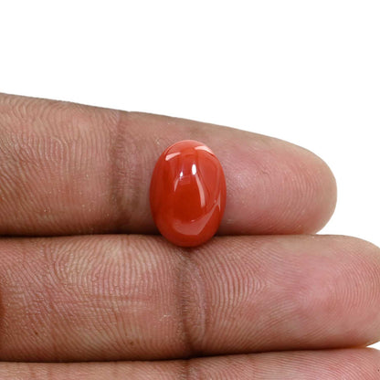 Japanese Red Coral (Moonga) 4.76 Carat