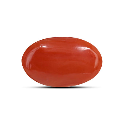 Japanese Red Coral (Moonga) 9.83 Carat