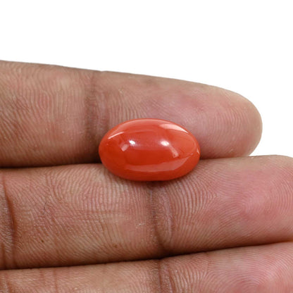 Japanese Red Coral (Moonga) 9.83 Carat