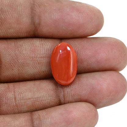 Japanese Red Coral (Moonga) 9.83 Carat