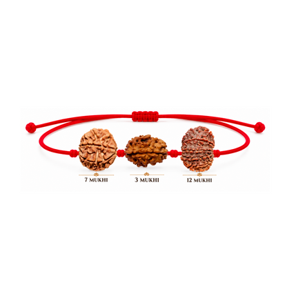 Raj Tejas Kavach - 12, 3 & 7 Mukhi Rudraksha