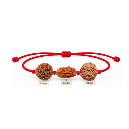 Saraswati Kavach - 2, 4 & 6 Mukhi Rudraksha