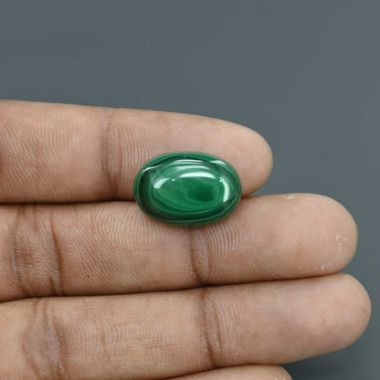Malachite (Kidney Stone) 16.61 Carat