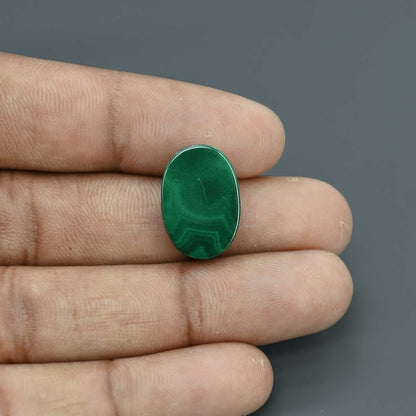 Malachite (Kidney Stone) 16.61 Carat