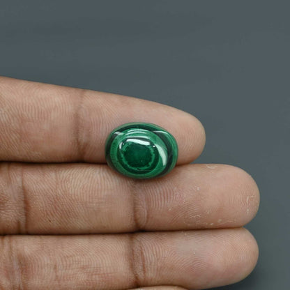 Malachite (Kidney Stone) 16.33 Carat