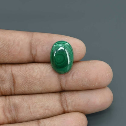 Malachite (Kidney Stone) 16.3 Carat
