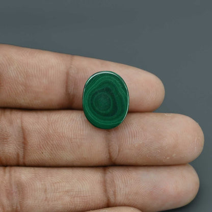 Malachite (Kidney Stone) 14.94 Carat