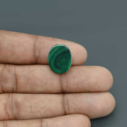 Malachite (Kidney Stone) 11.61 Carat