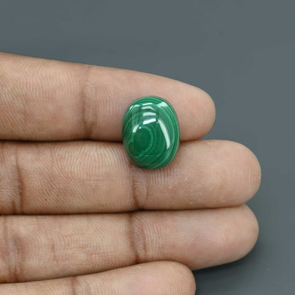Malachite (Kidney Stone) 16.5 Carat