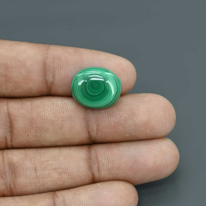 Malachite (Kidney Stone) 13.46 Carat