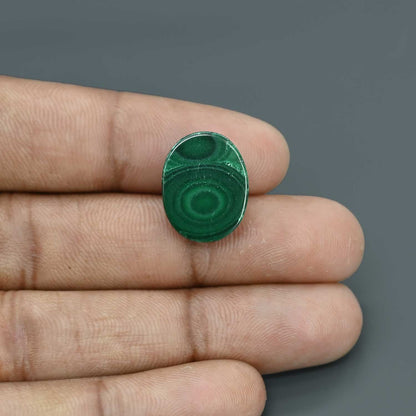 Malachite (Kidney Stone) 18.17 Carat