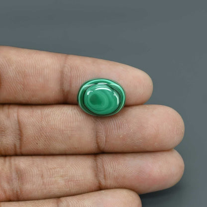 Malachite (Kidney Stone) 15.7 Carat