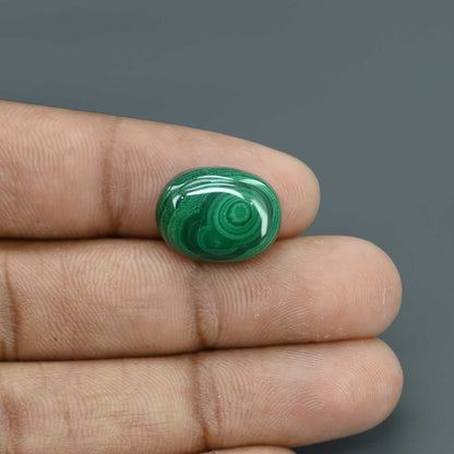 Malachite (Kidney Stone) 14.94 Carat