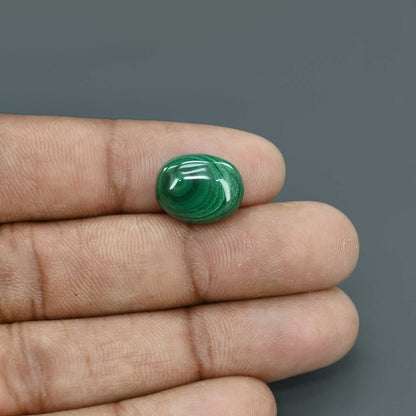 Malachite (Kidney Stone) 11.39 Carat