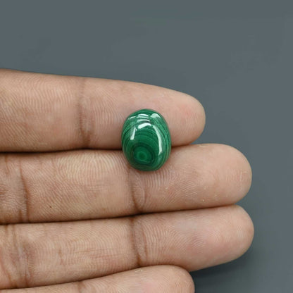 Malachite (Kidney Stone) 11.39 Carat